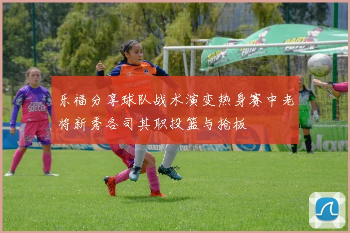 乐福分享球队战术演变热身赛中老将新秀各司其职投篮与抢板