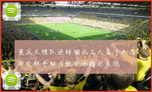 重庆文理队逆转湖北工大聂飞木乃布合联手助力张子涵精彩表现