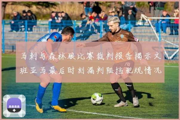 马刺与森林狼比赛裁判报告揭示文班亚马最后时刻漏判阻挡犯规情况