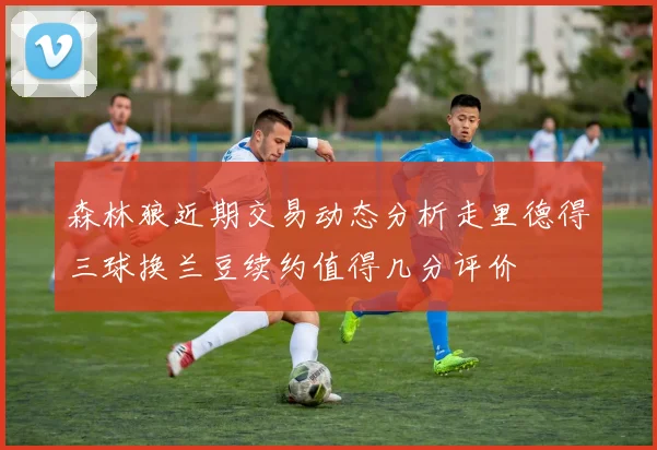 森林狼近期交易动态分析走里德得三球换兰豆续约值得几分评价